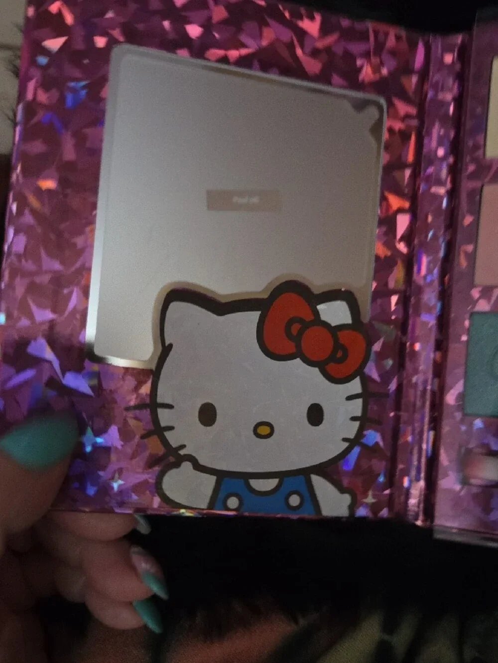 Hello Kitty patterned kitty